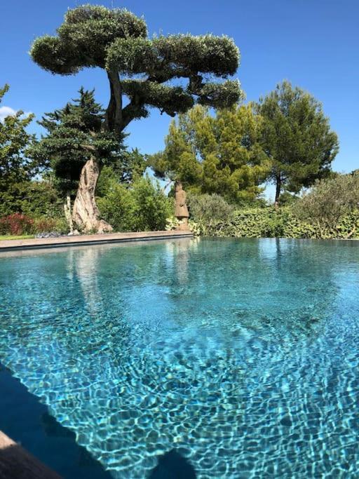 Bastide Languedocienne De Standing - Pezenas Le Clos De L'Amandier Exterior foto